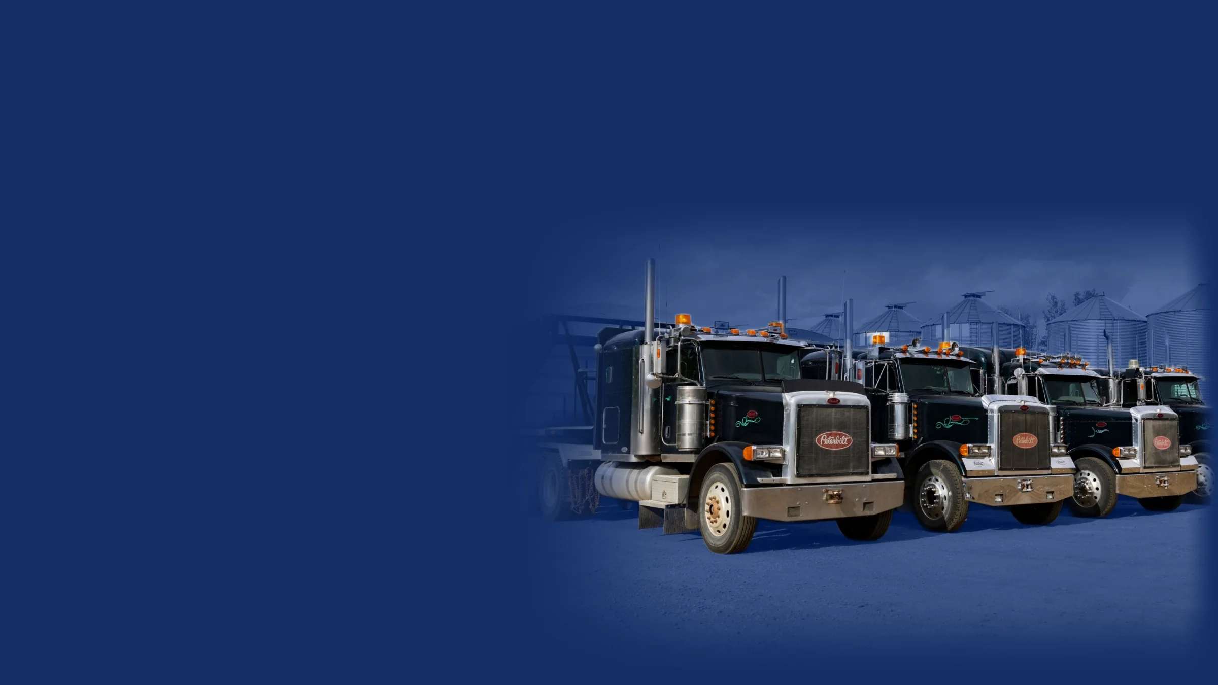Row of black Peterbilt 379 semi trucks parked in front of grain bins