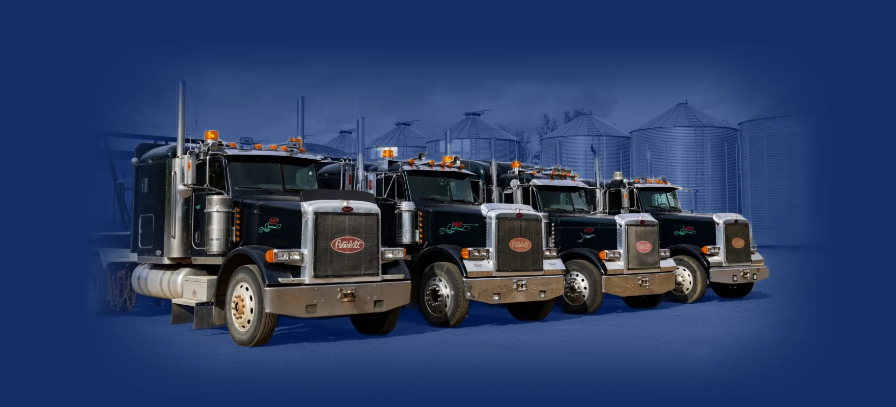 Row of black Peterbilt 379 semi trucks parked in front of grain bins