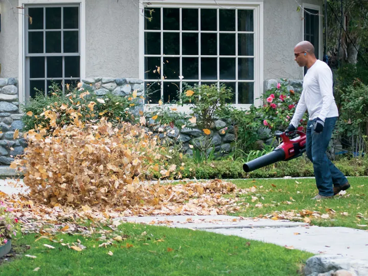Homeowner clearing fall leaves from a lawn with a cordless leaf blower