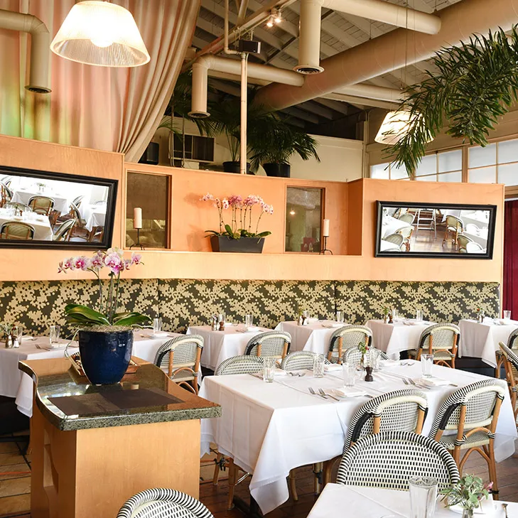a restaurant with tables and chairs and a potted plant