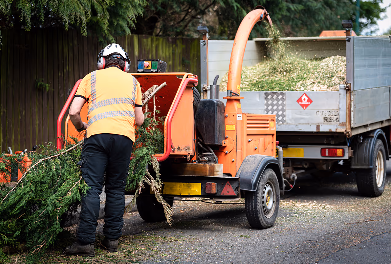 Tree debris chipping and site clean-up after tree removal in Wellington