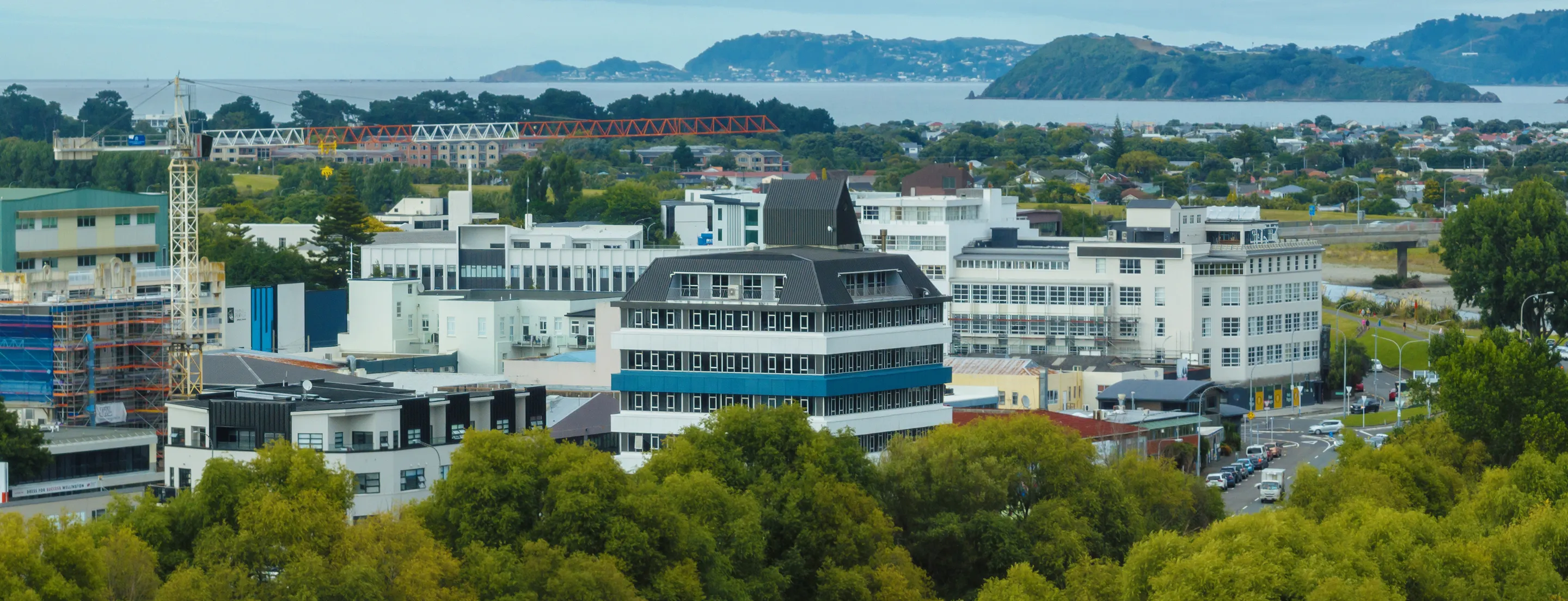 Lower Hutt arborist services — Tree Rangers serving tree removal and pruning across the Hutt Valley