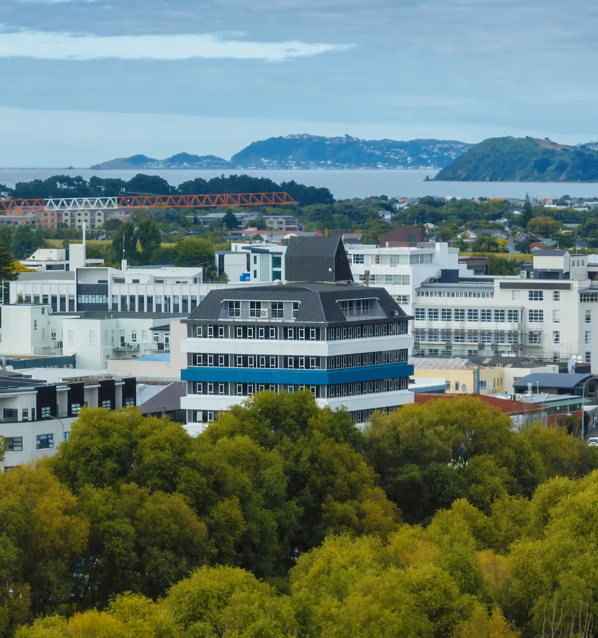 Professional tree care across Lower Hutt — familiar with Hutt City Council tree protection requirements