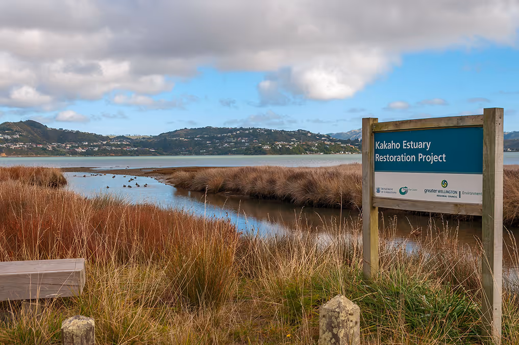 Tree Rangers experienced with Porirua City Council tree management and consent requirements