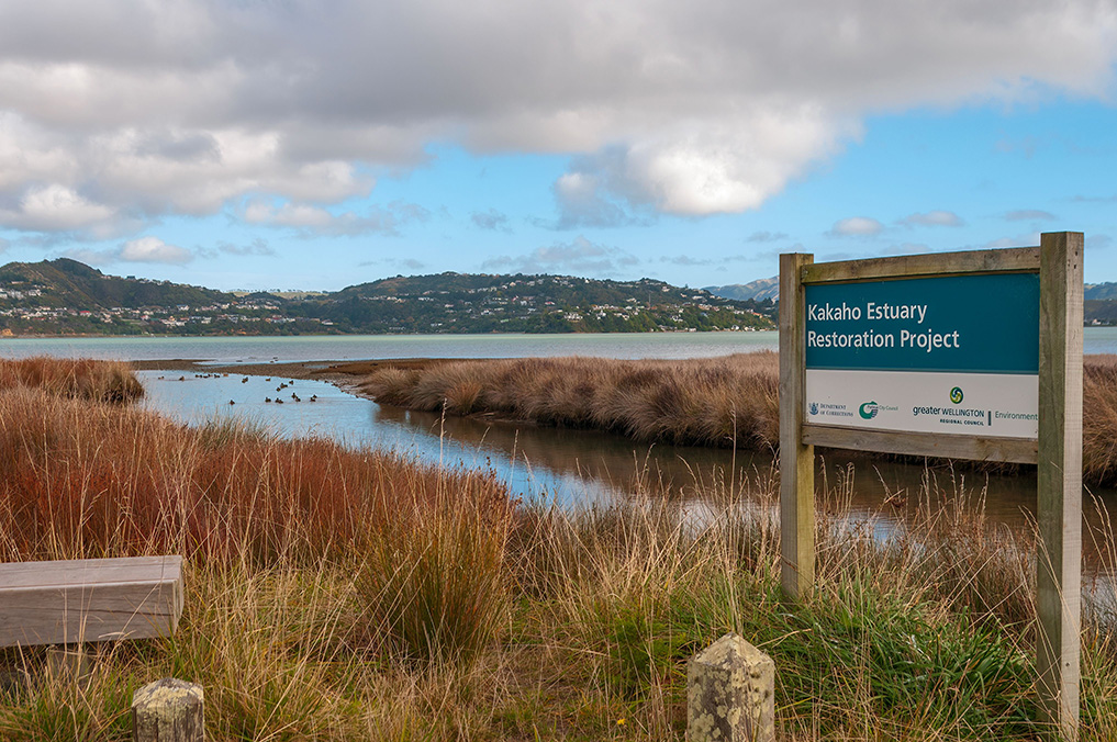 Tree Rangers experienced with Porirua City Council tree management and consent requirements