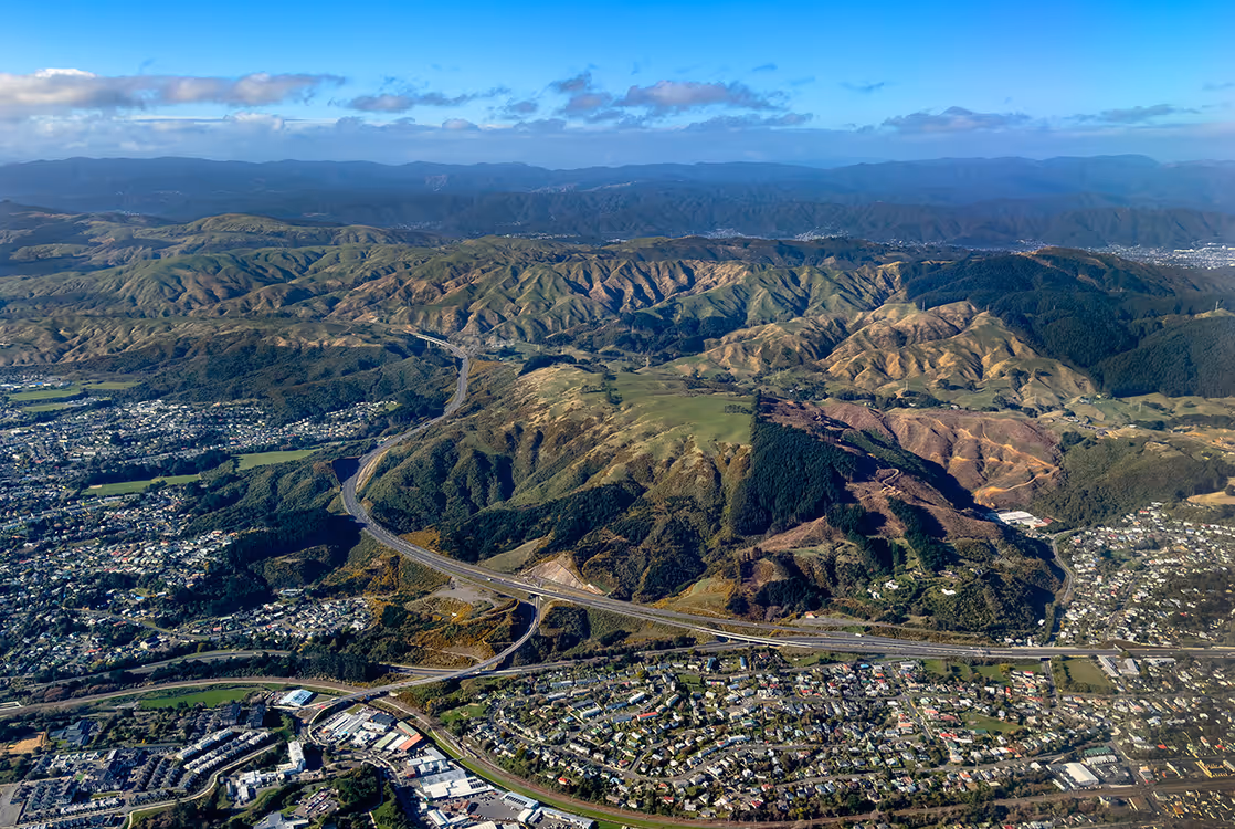 Challenging Upper Hutt terrain requiring specialist arborist equipment and expertise