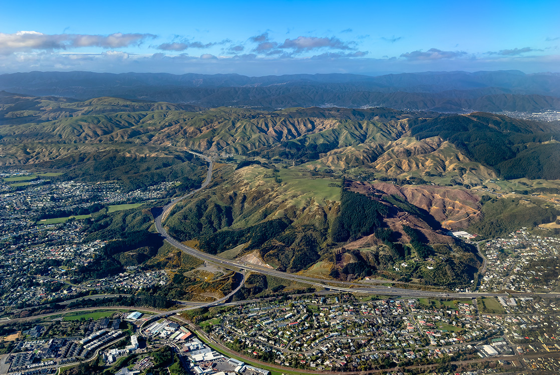 Challenging Upper Hutt terrain requiring specialist arborist equipment and expertise