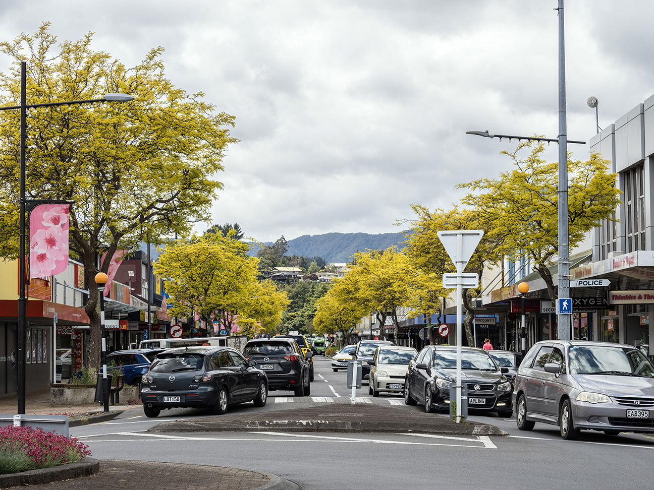 Tree Rangers managing Upper Hutt City Council notable tree and consent requirements