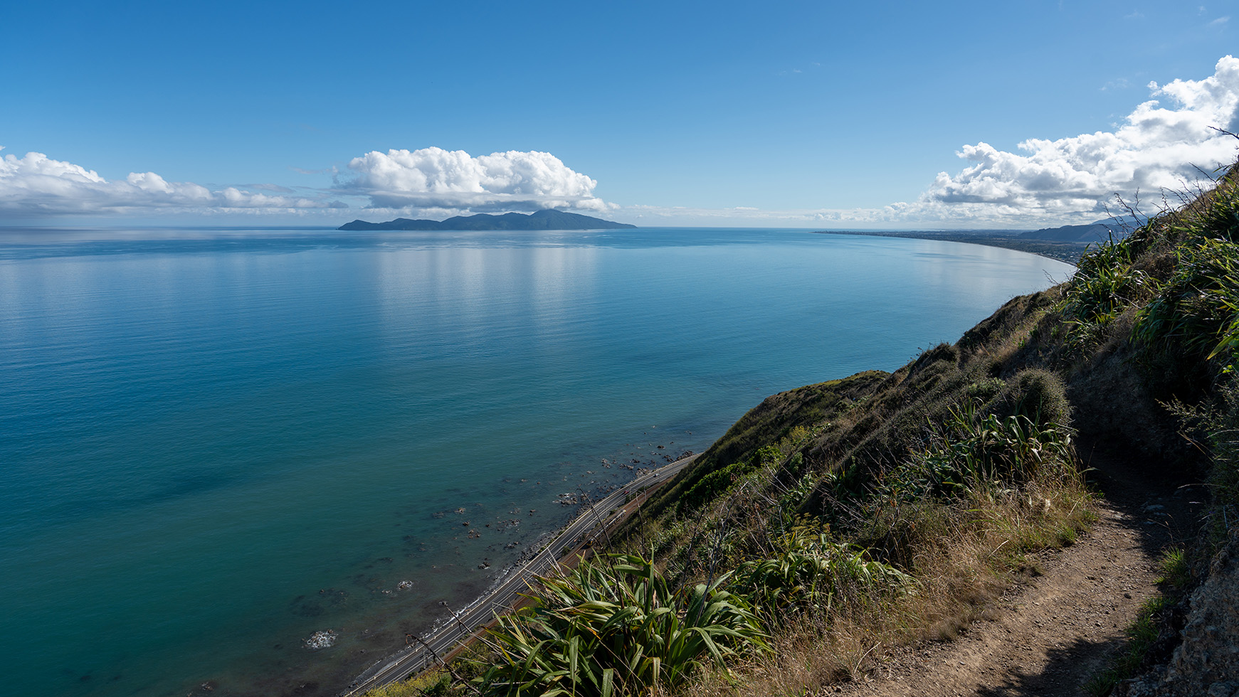 Kapiti Coast arborist services — Tree Rangers based in Paraparaumu serving the full coastal strip