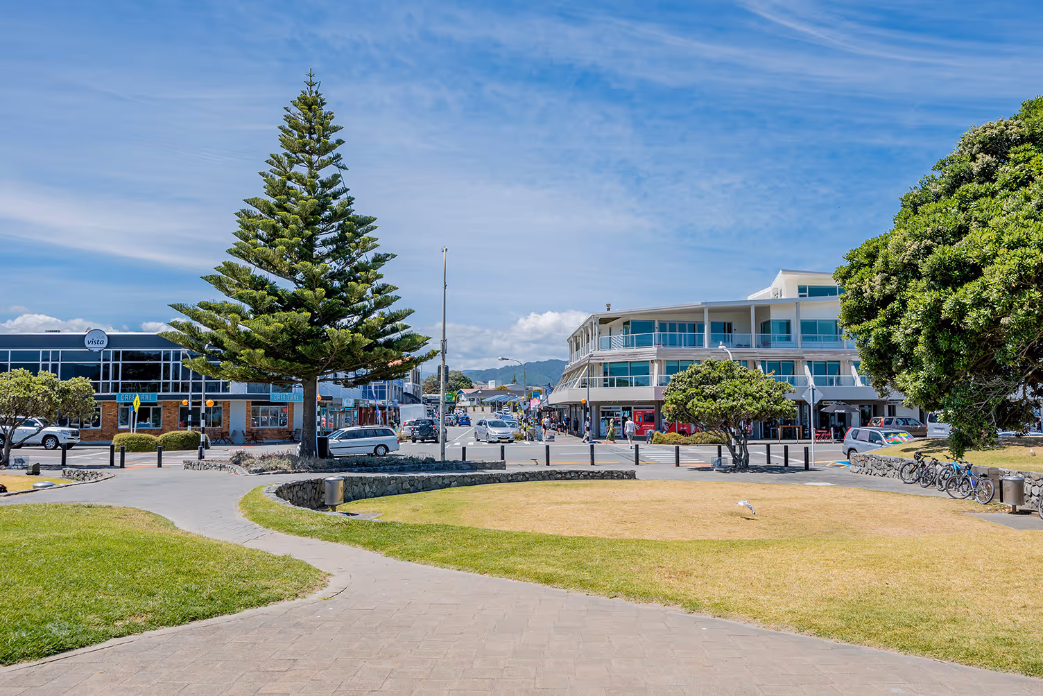 Tree Rangers experienced with Kāpiti Coast District Council notable tree and consent requirements