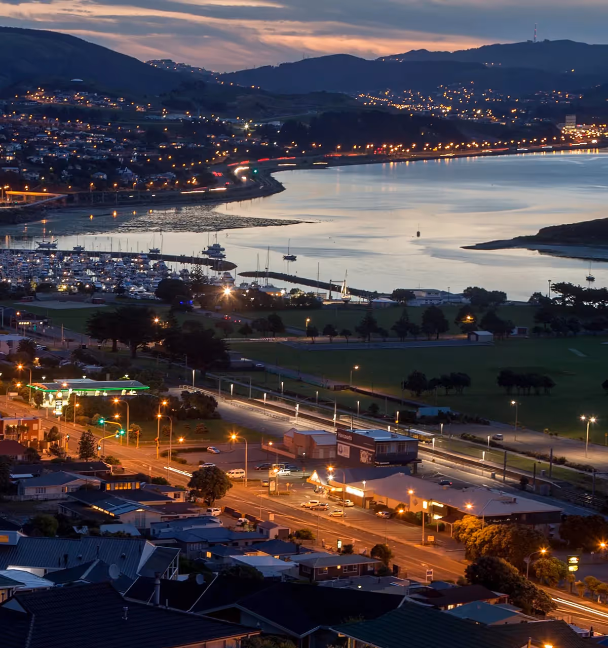 Porirua arborist services — Tree Rangers providing tree removal and pruning across the Porirua basin