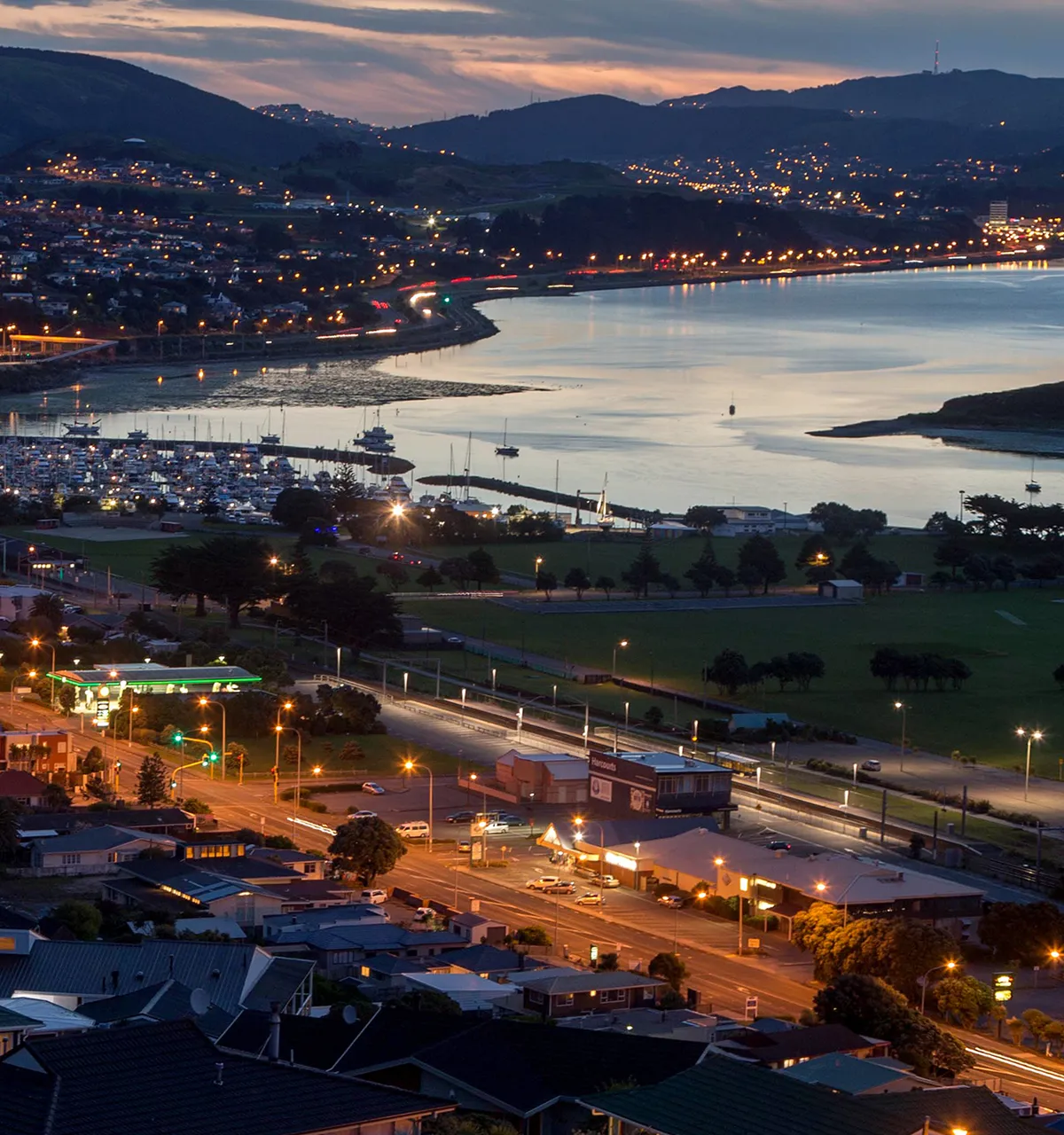 Porirua arborist services — Tree Rangers providing tree removal and pruning across the Porirua basin