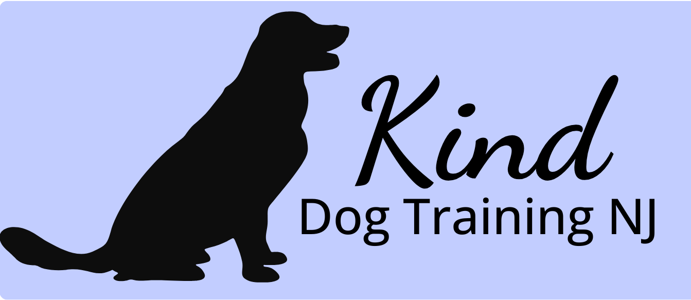 Black silhouette of a sitting dog beside the text 'Kind Dog Training NJ' on a light blue background.