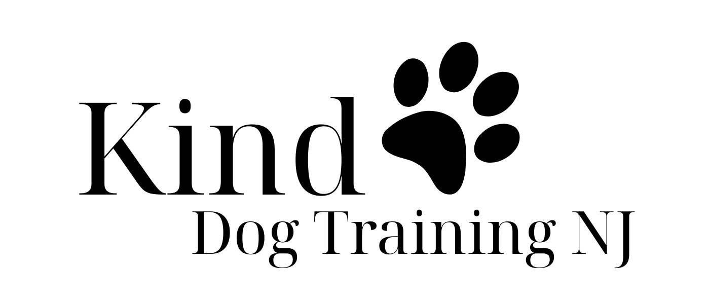 Logo for Kind Dog Training NJ featuring the word 'Kind' with a black dog paw print and 'Dog Training NJ' text below.
