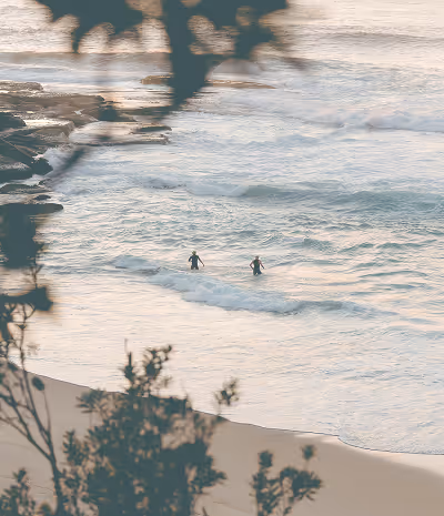 Two surfers carrying surfboards walking into the ocean near rocky shore at sunset, with tree branches in the foreground.