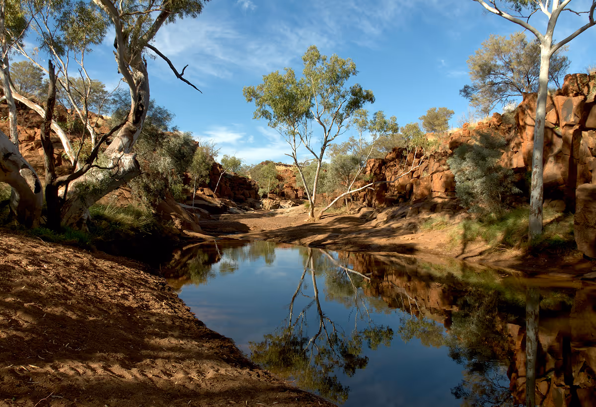 Calm water reflecting trees and rocky cliffs under a blue sky in a desert canyon.