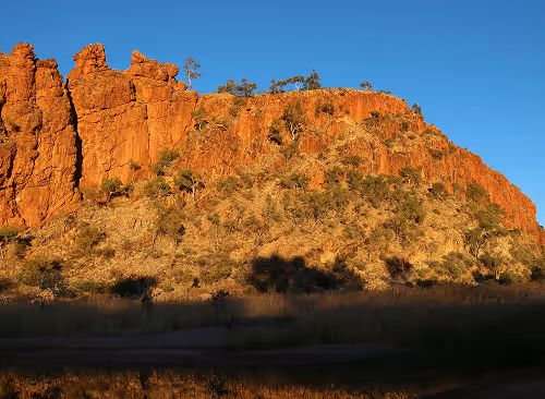 Red rocky cliff with sparse vegetation under clear blue sky and shadows from nearby trees.