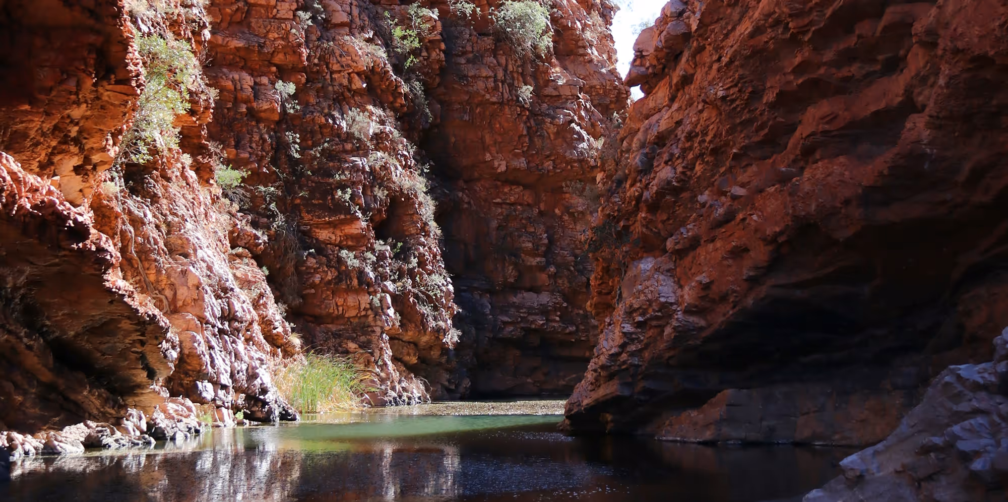 Narrow canyon with red rocky walls and a calm reflective pool of water at the bottom.