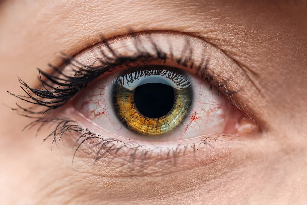 Close-up of a human eye with a green and brown iris and long eyelashes.