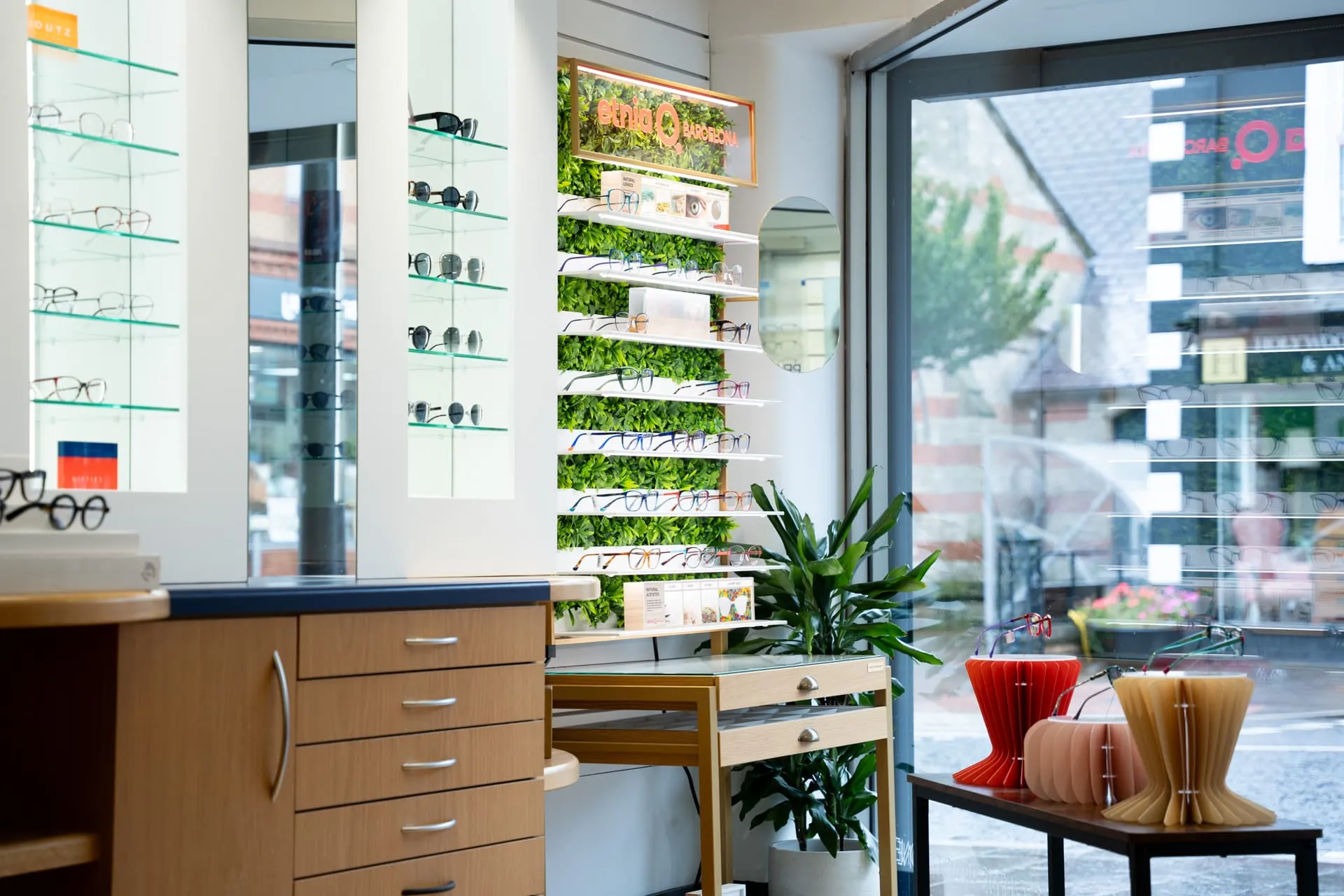 Interior of an eyewear store with eyeglasses displayed on shelves, a wooden cabinet, a green plant, and a large window showing the street outside.