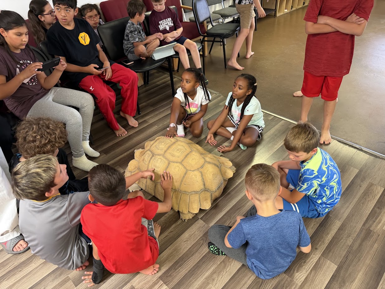 Summer Camp 2026 Week 3
