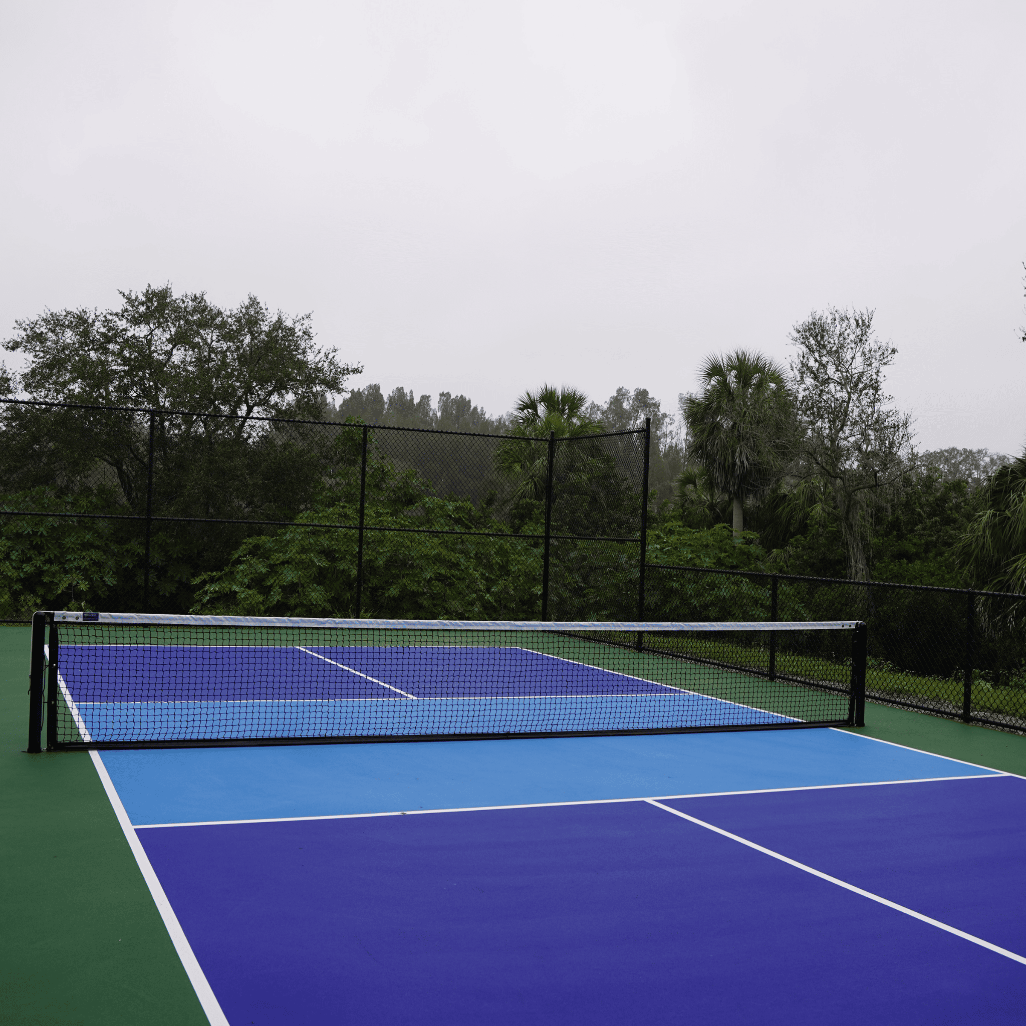 Completed residential pickleball court with three-color acrylic surface in Tarpon Springs, FL