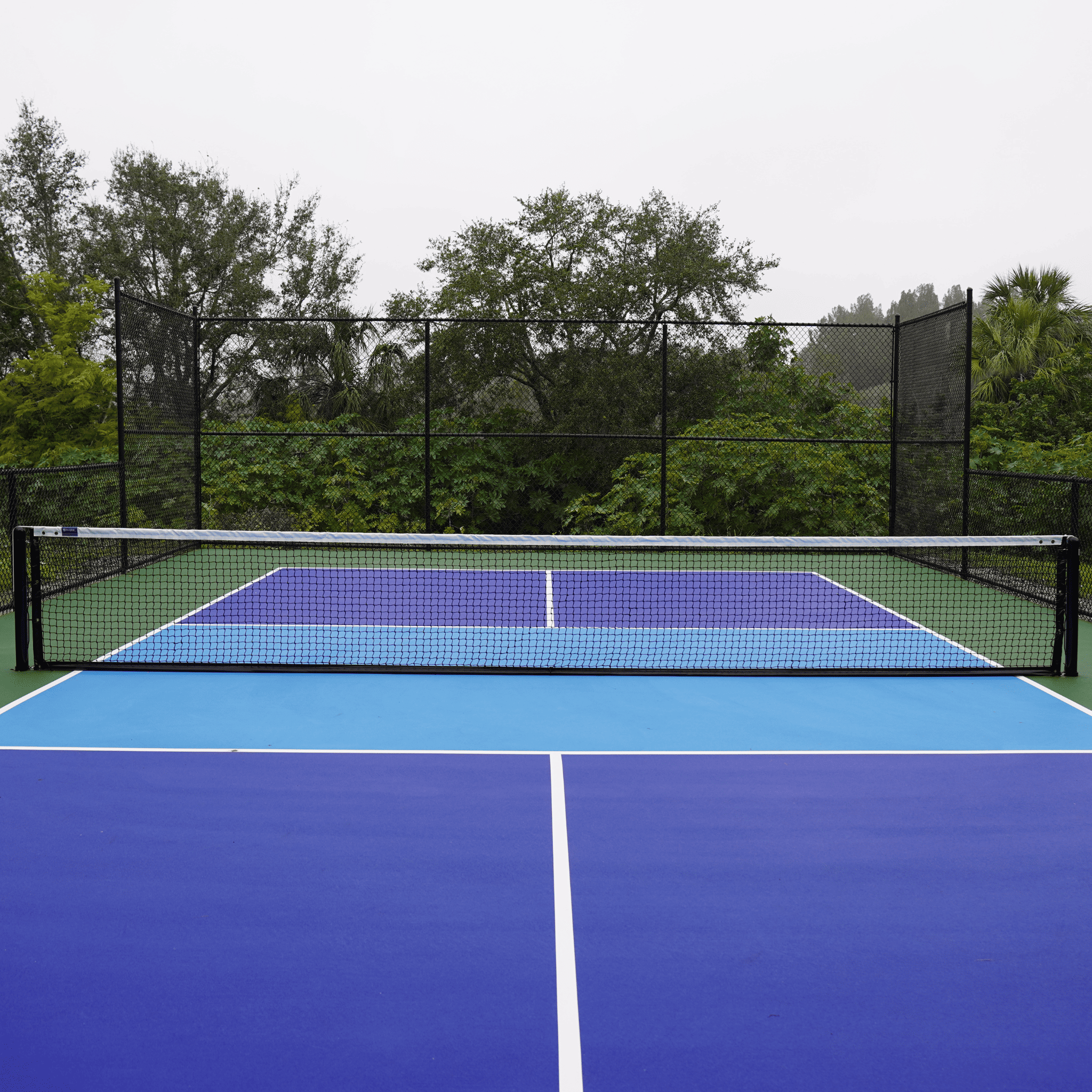 Chain-link perimeter fencing and in-ground net system at Tarpon Springs pickleball court