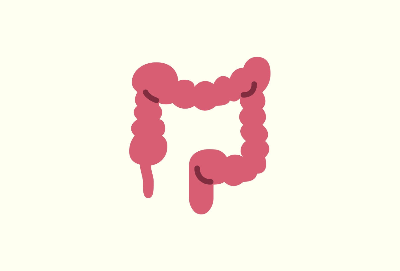 Pink colon illustration with darker curved lines showing muscle contractions on cream background