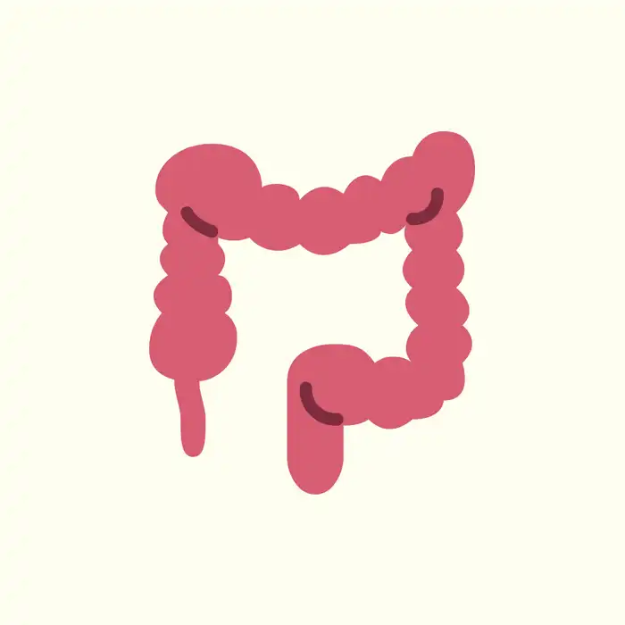 Approaches to Colorectal Cancer Screening