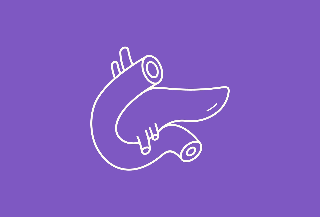 White anatomical heart with arterial lines on purple background depicting cardiac anatomy