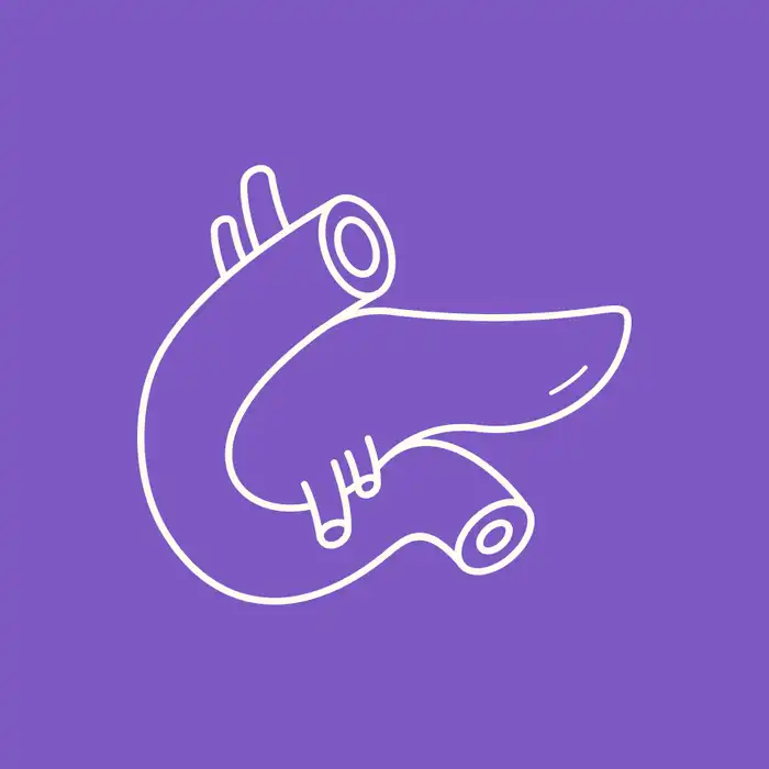 The Pancreas, Insulin, and Diabetes