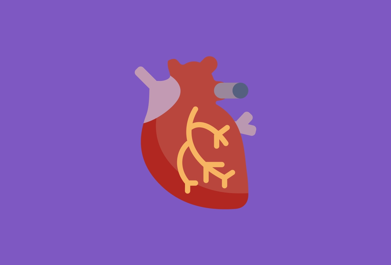 Red anatomical heart with yellow coronary arteries and connected blood vessels on purple background