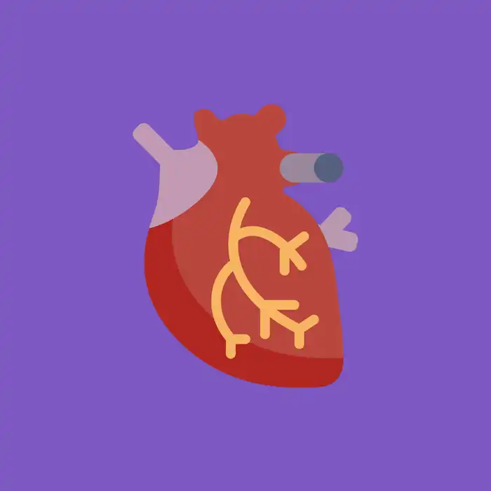 Artificial Intelligence Better Able to Predict Heart Attacks Than Other Risk Models