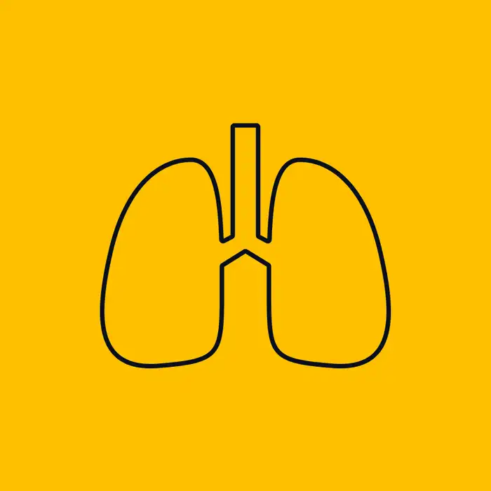 Lung Adenocarcinoma: Diagnosis,Treatment Options, and Side Effects
