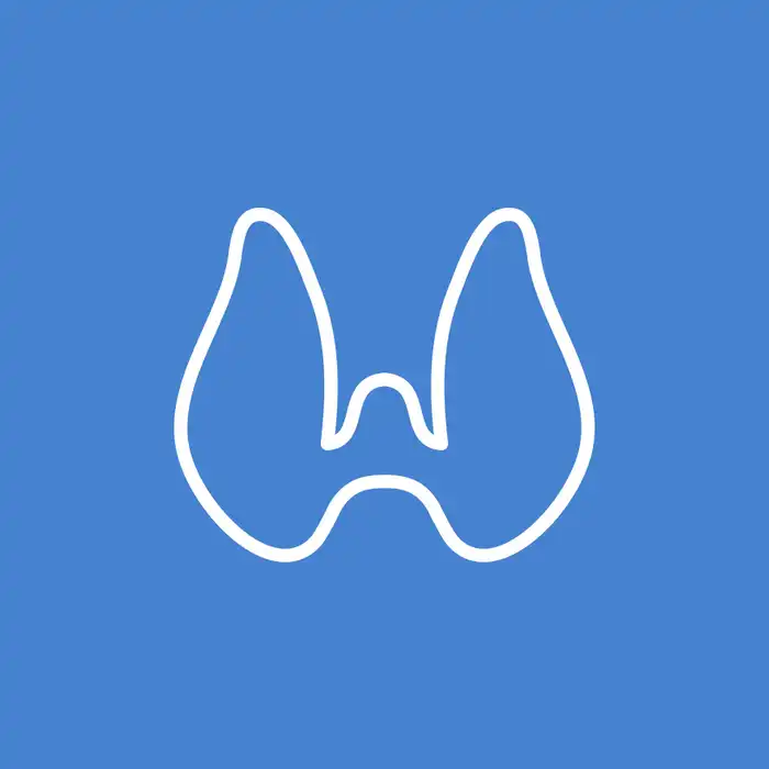 What Your Thyroid Does – and What Happens When It’s Out of Balance