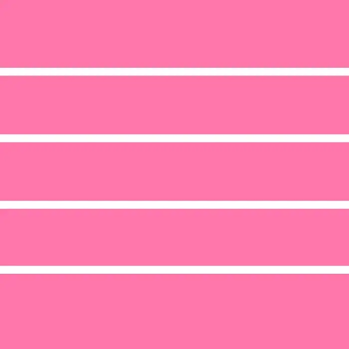 Kidney Anatomy: the Basics