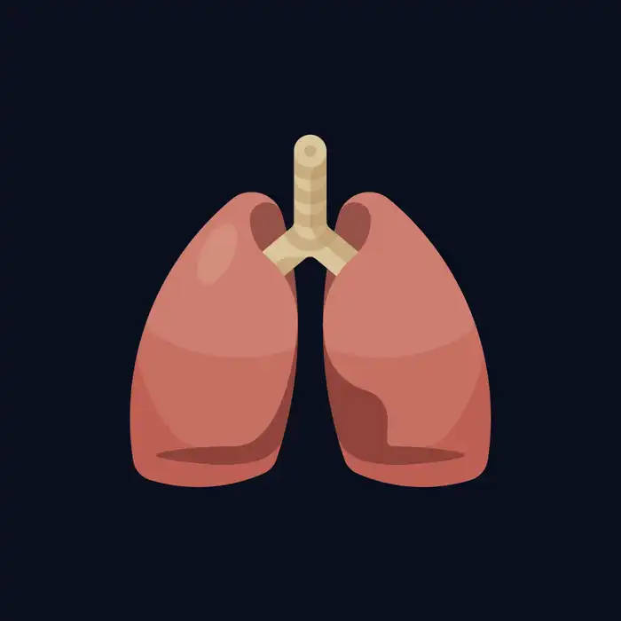 Lung Cancer Treatment