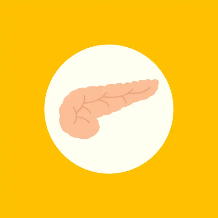 AI May Be Able to Distinguish Among Pancreatic Diseases on MRI Results