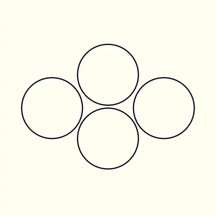 The Ovaries: their Location and Function