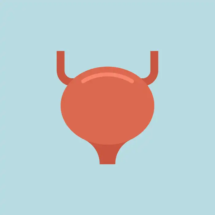 Bladder Cancer Symptoms