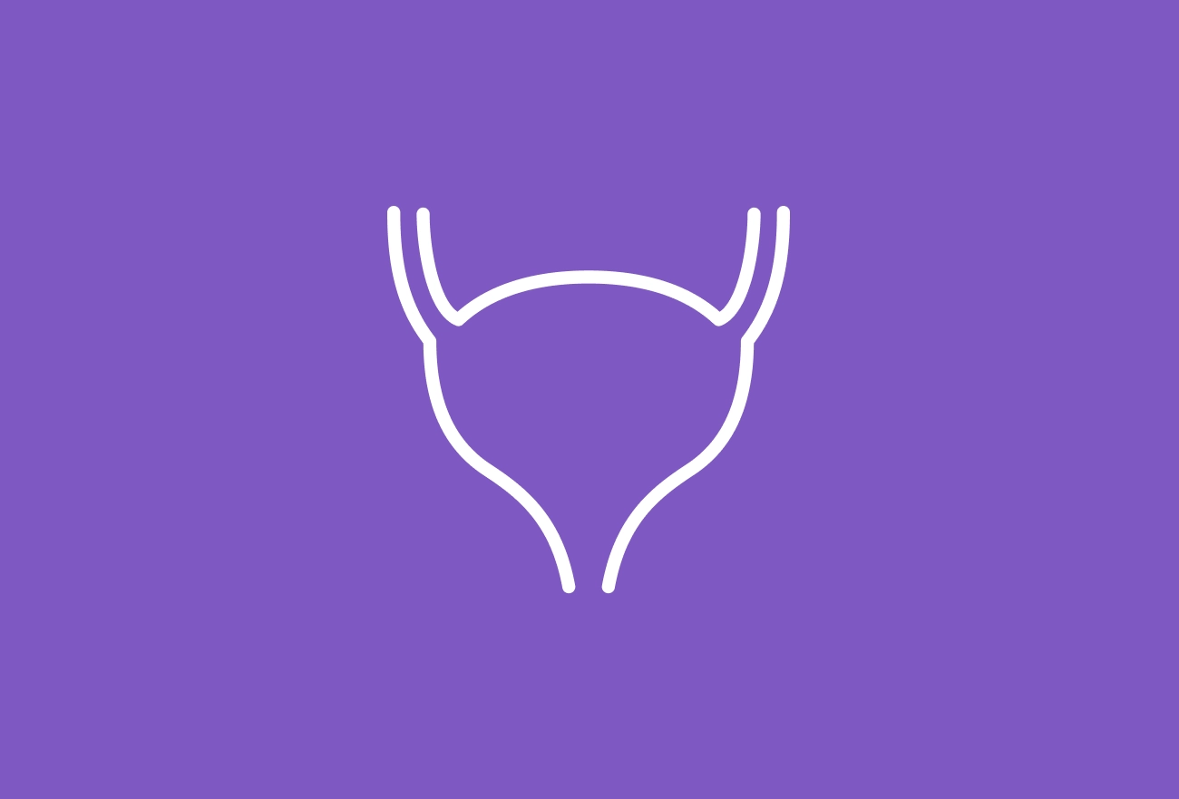 White line icon of uterus with fallopian tubes on purple background, medical illustration