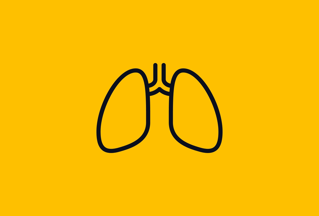 Dark blue line icon of lungs on bright yellow background, medical illustration