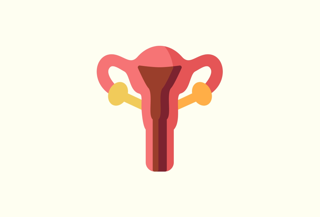 Colorful illustration of female reproductive system with uterus, fallopian tubes, and ovaries on cream background