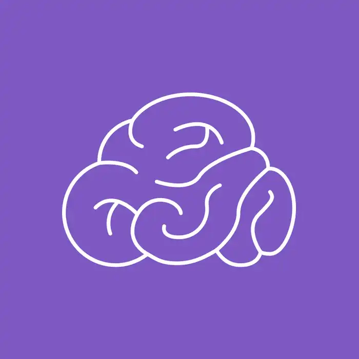 The Brain and Neurons