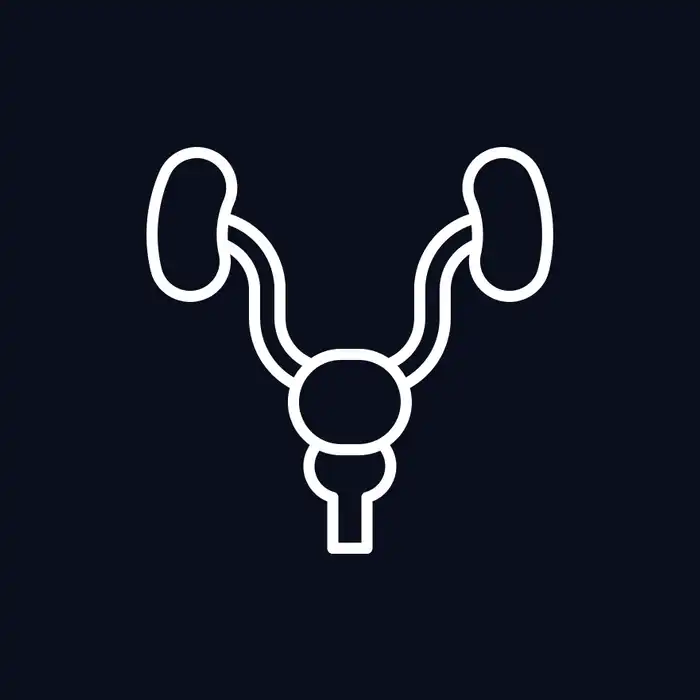 The Prostate PSA Test