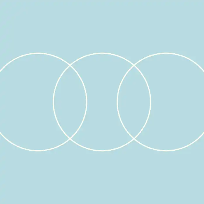 The Pancreas Polyp Vs Cyst