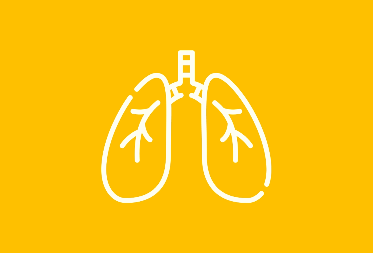 White line drawing of lungs and trachea on bright yellow background