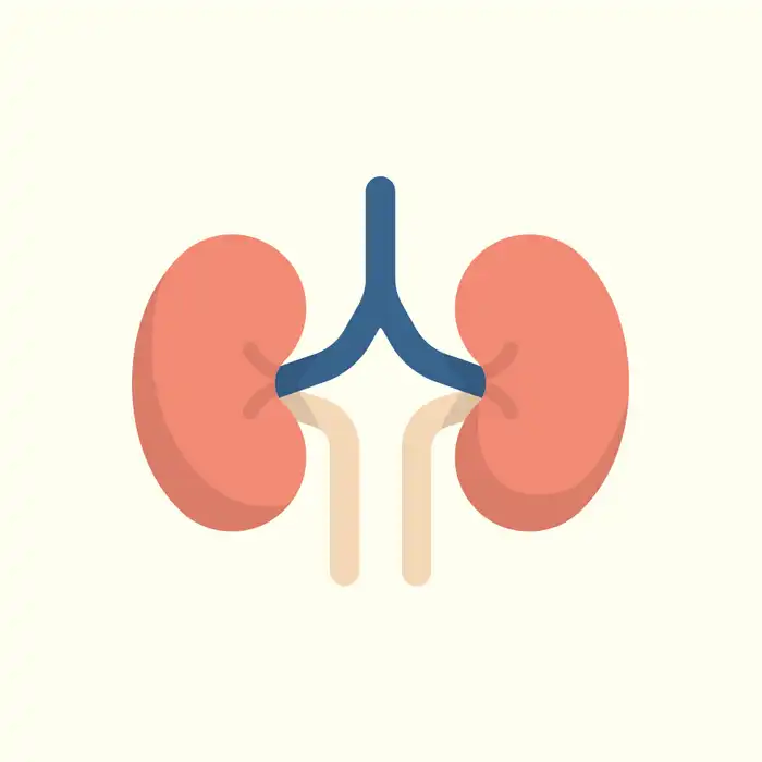 Kidney Infection Symptoms