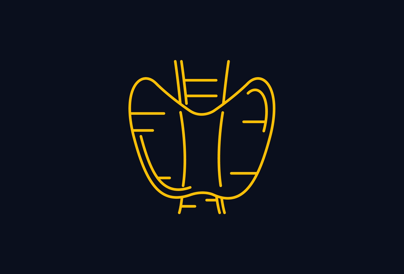 Yellow line illustration of thyroid gland anatomy on dark navy background