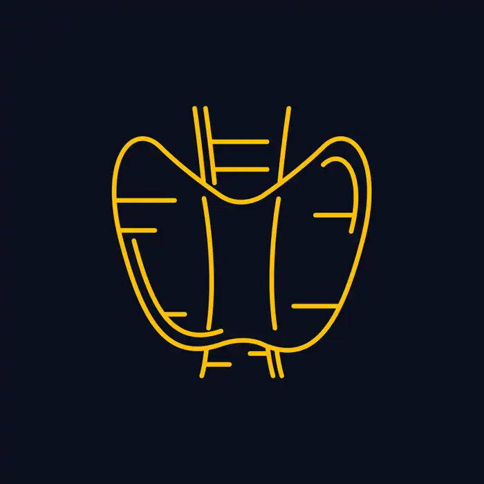 What does Thyroid Stimulating Hormone Do?